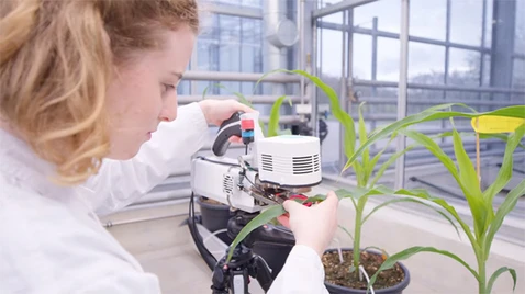 BayKlimaFit 2 – The project network “Strong plants mitigating the impact of climate change"