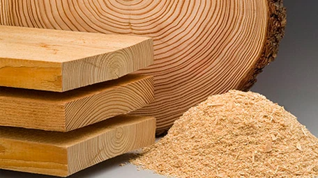Forschungsbereich Holzforschung & Biotechnologie Forschungsbereich Holzforschung und Biotechnologie, Holz und Holzspäne