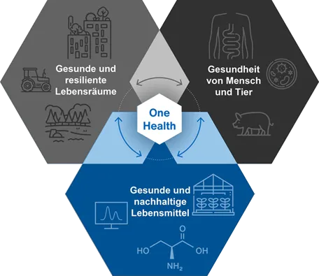 One Health – Gesunde und nachhaltige Lebensmittel 