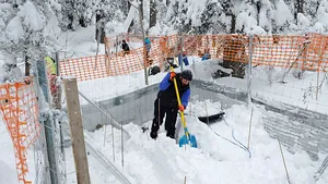 Einfluss der Schneebedeckung auf Vegetation