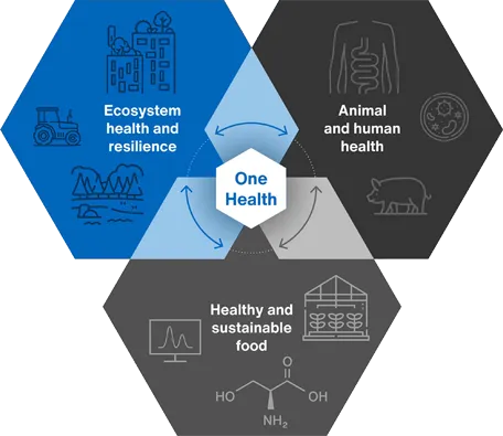 One Health - Healthy and resilient living spaces