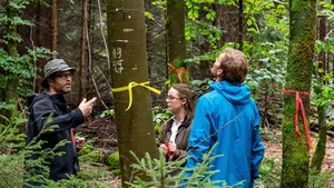 Prof. Seidl erstellt mit digitalem Zwilling ein Baum-Portfolio