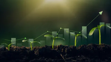 Grafik mit Pflanzensprösslingen und Diagrammbalken als Teaser für das Event AgriFood