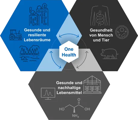 One Health – Gesunde und resiliente Lebensräume