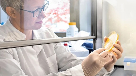 To Transregio 356 Transregio 356