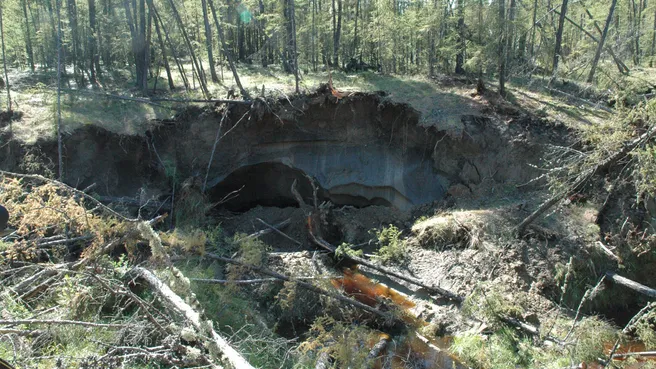 Permafrostboden der sibirischen Taiga