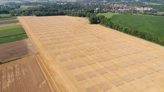 Checkerboard of the fertilizer plots of winter wheat, study area in Roggenstein