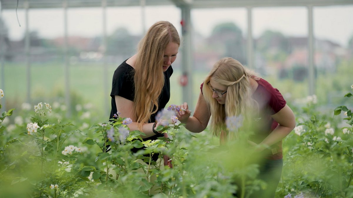 Strong Demand For TUM Agricultural Master's Degree Programs For Winter ...