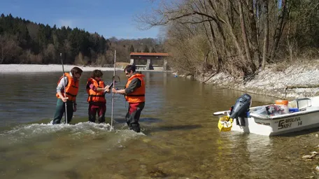 Wissenschaftliche Studie an der TUM zu Flusslebensräumen