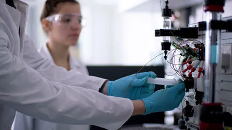 Promotion in den Life Sciences Promotion an der TUM School of Life Sciences